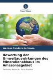 Bewertung der Umweltauswirkungen des Mineralienabbaus im Amazonasgebiet