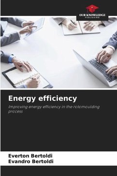 Energy efficiency - Bertoldi, Everton;Bertoldi, Evandro