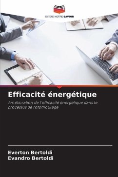 Efficacité énergétique - Bertoldi, Everton;Bertoldi, Evandro