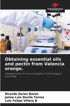 Obtaining essential oils and pectin from Valencia orange. - Durán Barón, Ricardo;Dávila Torres, Jaime Luis;Villero B, Luis Felipe