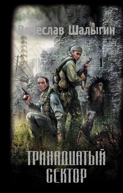 Тринадцатый сектор (eBook, ePUB) - Шалыгин, Вячеслав