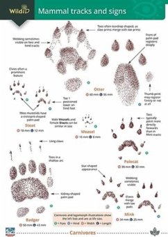 Cover Mammal tracks and signs