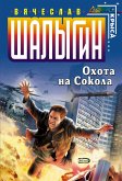 Охота на Сокола (eBook, ePUB)