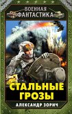 Стальные грозы (eBook, ePUB)