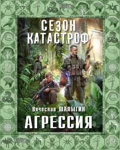 Агрессия (eBook, ePUB) - Шалыгин, Вячеслав