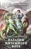 Паладин мятежного бога (eBook, ePUB)