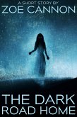 The Dark Road Home (eBook, ePUB)