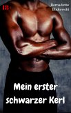 Mein erster schwarzer Kerl (eBook, ePUB)