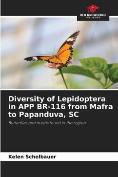 Diversity of Lepidoptera in APP BR-116 from Mafra to Papanduva, SC - Schelbauer, Kelen