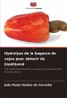 Hydrolyse de la bagasse de cajou pour... - Bild 1