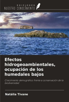 Efectos hidrogeoambientales, ocupación de los humedales bajos - Tivane, Natália Efectos hidrogeoambientales, ocupación de los humedales bajos - Tivane, Natália