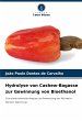 Hydrolyse von Cashew-Bagasse zur... - Bild 1
