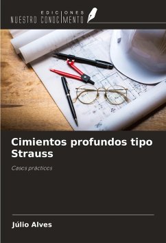 Cover Cimientos profundos tipo Strauss