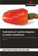 Hydrolysis of cashew bagasse to obtain... - Bild 1