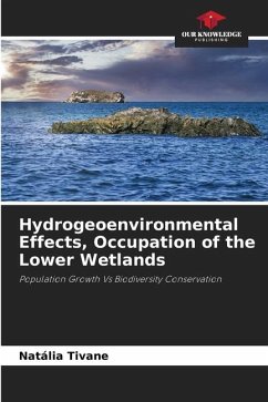 Hydrogeoenvironmental Effects, Occupation of the Lower Wetlands - Tivane, Natália