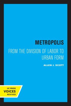 Metropolis (eBook, ePUB) - Scott, Allen J.