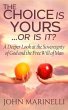 It's Your Choice or Is It (eBook, ePUB) - Bild 1
