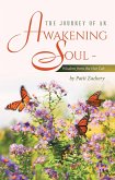 The Journey of an Awakening Soul - Wisdom from the Hot Tub (eBook, ePUB)