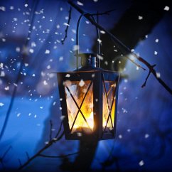 Cover Snow (MP3-Download)