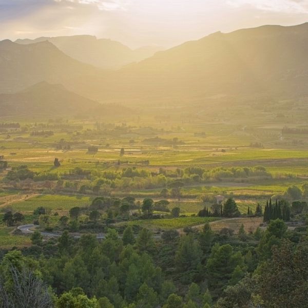 Sunset in Langeudoc (MP3-Download)