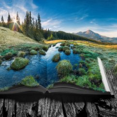 Cover Down the river (MP3-Download)