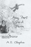 Any Port in A Storm (The Storm Series, #3) (eBook, ePUB)
