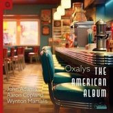 The American Album The American Album