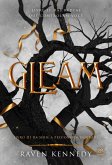 Gleam (eBook, ePUB) Gleam (eBook, ePUB)