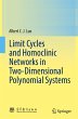 Limit Cycles and Homoclinic Networks in... - Bild 1