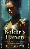 Boldir's Harem (eBook, ePUB)