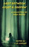 Lost Between Light & Shadow (eBook, ePUB)