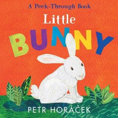 Cover Little Bunny