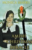 Amish Christmas Miracle