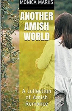 Cover Another Amish World