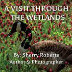 A Visit Through the Wetlands