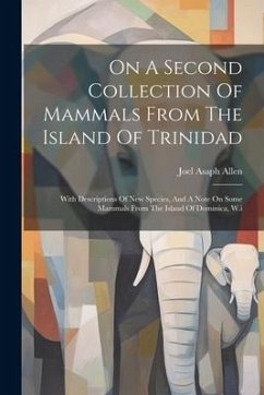 On A Second Collection Of Mammals From The Island Of Trinidad - Allen, Joel Asaph