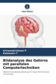 Bildanalyse des Gehirns mit parallelen Computertechniken