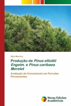 Produção de Pinus elliottii Engelm. e Pinus caribaea Morelet - Moreira, Silva