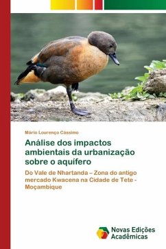 Análise dos impactos ambientais da urbanização sobre o aquífero - Cássimo, Mário Lourenço