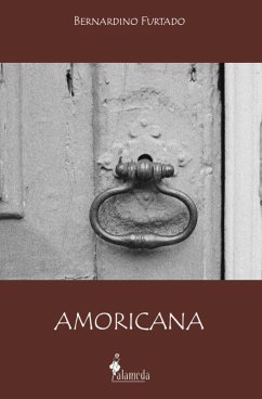 Cover Amoricana (eBook, ePUB)
