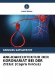 ANGIOARCHITEKTUR DER KORONARIÄT BEI DER ZIEGE (Capra hircus)