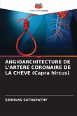 ANGIOARCHITECTURE DE L'ARTERE CORONAIRE DE LA CHÈVE (Capra hircus)