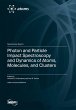 Photon and Particle Impact Spectroscopy... - Bild 1