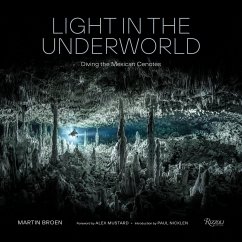 Cover Light in the Underworld
