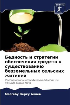 Bednost' i strategii obespecheniq sredstw k suschestwowaniü bezzemel'nyh sel'skih zhitelej - Verku Aqlew, Mezgebu