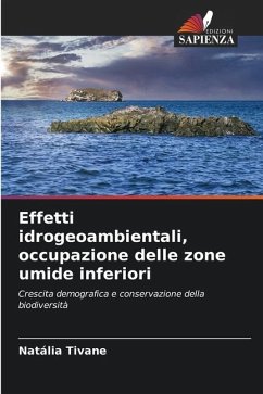 Effetti idrogeoambientali, occupazione delle zone umide inferiori - Tivane, Natália