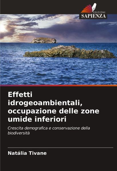 Effetti idrogeoambientali, occupazione delle zone umide inferiori