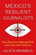 Mexico's Resilient Journalists - Bild 1