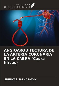 Cover ANGIOARQUITECTURA DE LA ARTERIA CORONARIA EN LA CABRA (Capra hircus)