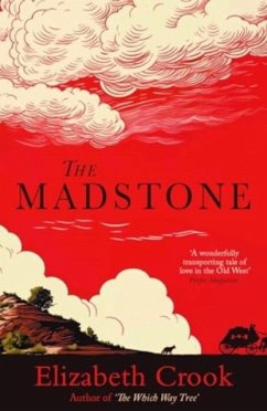 Cover The Madstone